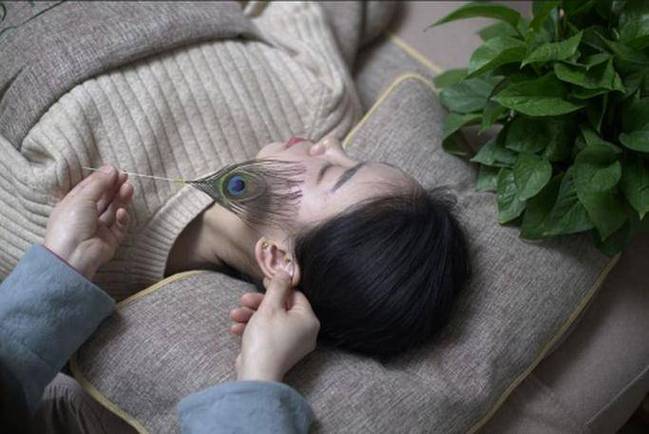 茶韵芳华